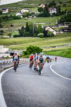 A group of cyclists riding through terraced vineyards during a road cycling event.